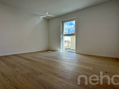 Spacieux attique neuf avec balcon habitable image 11