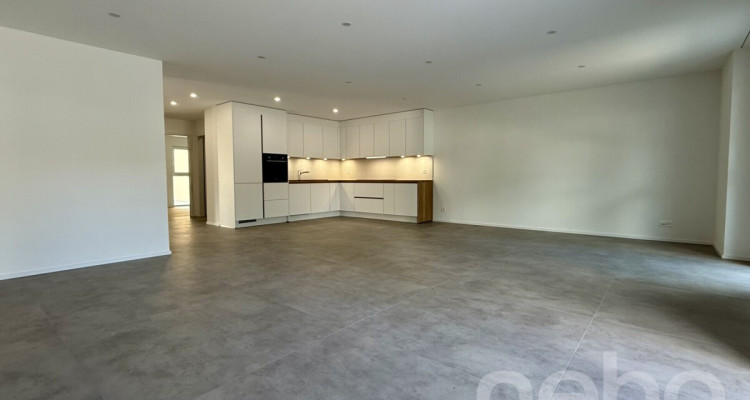 Spacieux attique neuf avec balcon habitable image 7