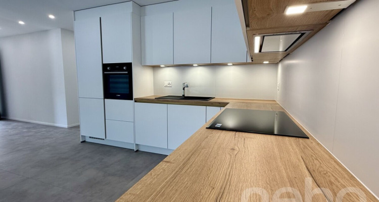 Grand appartement neuf avec balcon habitable image 9