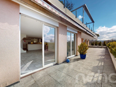 Grosszügige 5.5-Zimmer Terrassenwohnung in Düdingen image 7