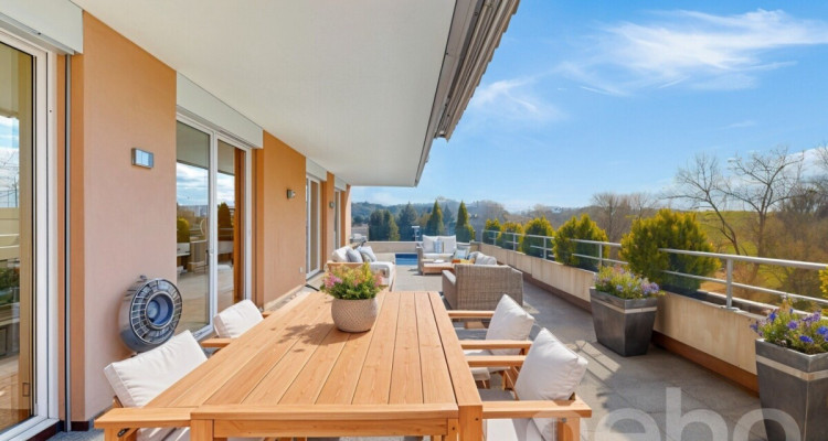 Grosszügige 5.5-Zimmer Terrassenwohnung in Düdingen image 5