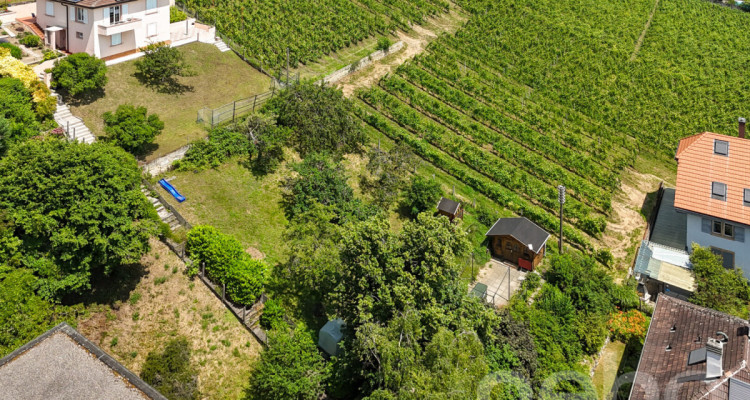 Rare à Neuchâtel - Terrain à bâtir avec vue lac image 3