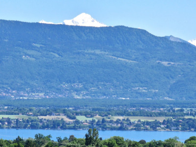 En exclusivité & off Market: Villa paradisiaque avec magnifique vue sur le lac image 3