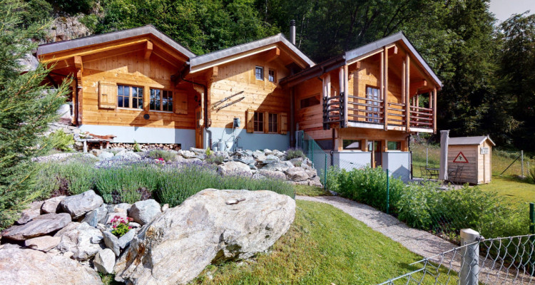 Chalet de 2 appartements de standing avec mezzanine image 1