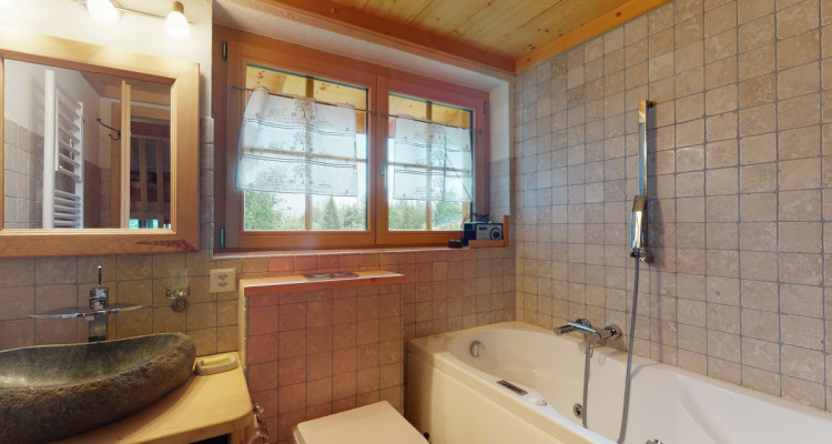 Chalet de 2 appartements de standing avec mezzanine image 10