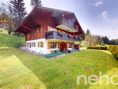 Exclusif: Grand chalet de 3 logements image 12