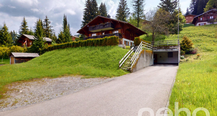 Exclusif: Grand chalet de 3 logements image 1