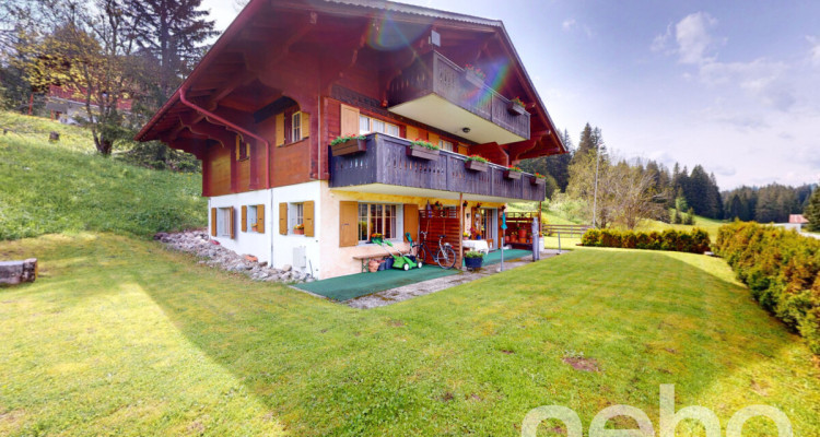 Exclusif: Grand chalet de 3 logements image 12