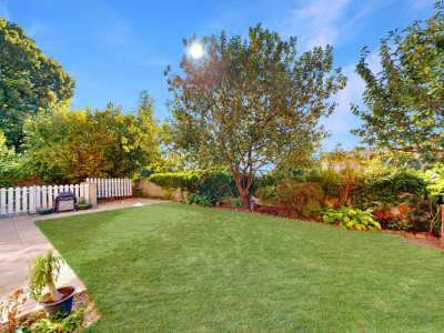 Merveilleux appartement  avec jardin ! image 2