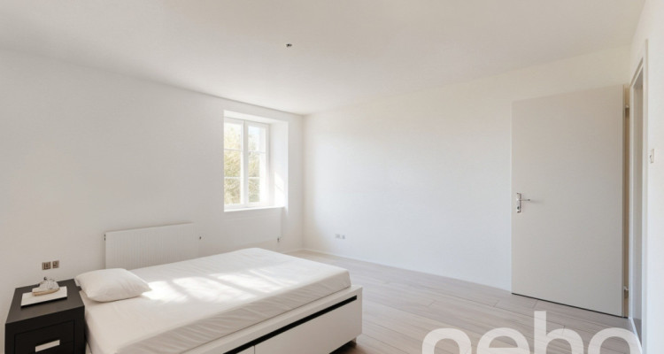 Merveilleux appartement  avec jardin ! image 10