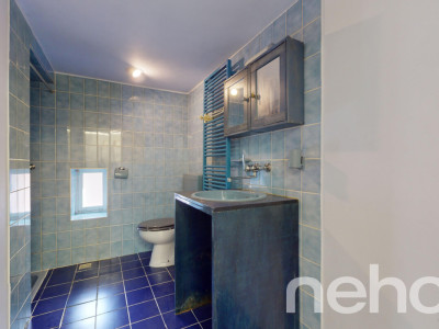 En plein centre dYverdon grand triplex image 11