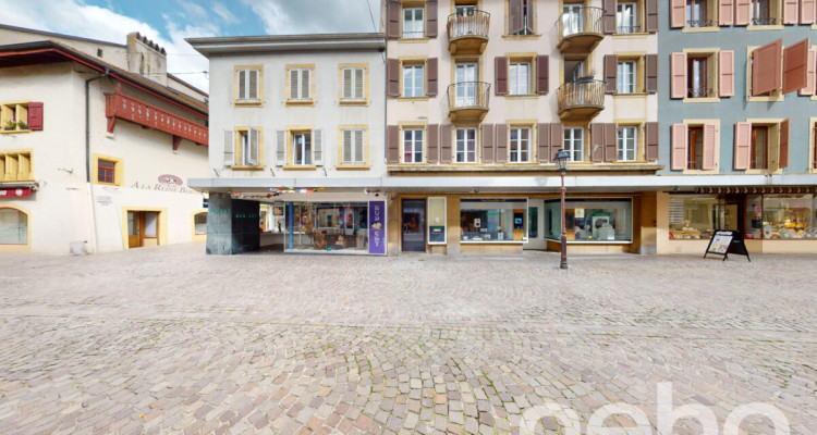 En plein centre dYverdon grand triplex image 3