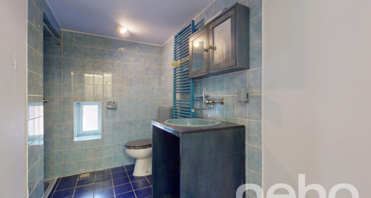 En plein centre dYverdon grand triplex image 11