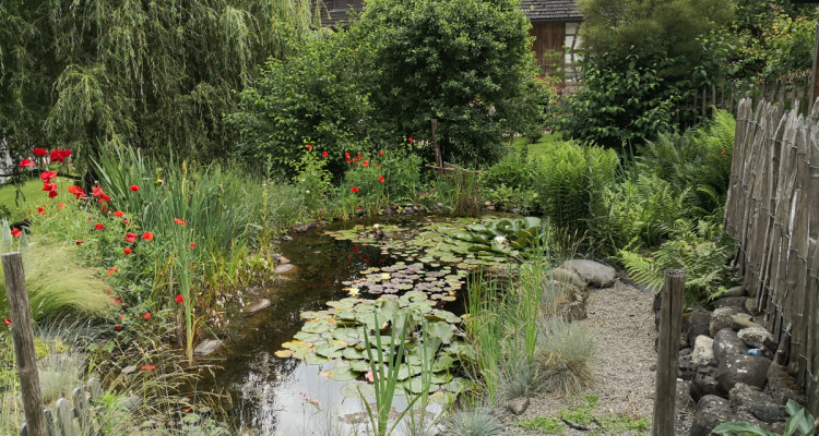 Seltene Gelegenheit: Schönes, umgebautes Bauernhaus mit vielen Extras image 4