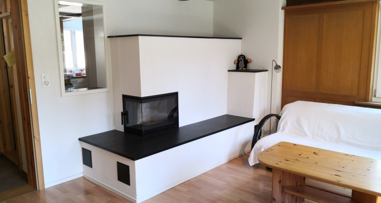 Seltene Gelegenheit: Schönes, umgebautes Bauernhaus mit vielen Extras image 12