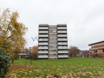 Perle an sonniger Lage image 7