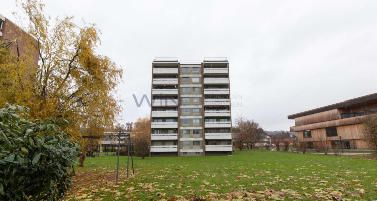 Perle an sonniger Lage image 7