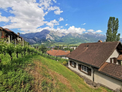 Ein Stück Historie im Rücken image 1