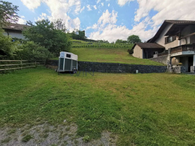 Ein Stück Historie im Rücken image 2