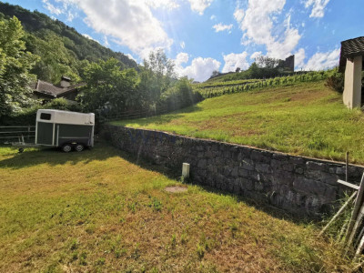 Ein Stück Historie im Rücken image 2