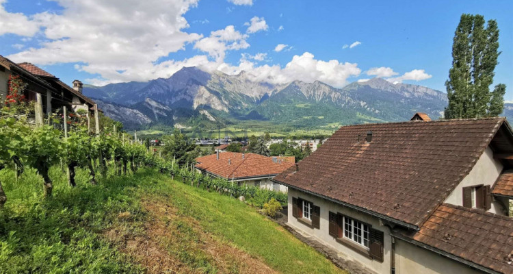 Ein Stück Historie im Rücken image 1