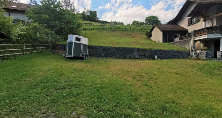 Ein Stück Historie im Rücken image 2