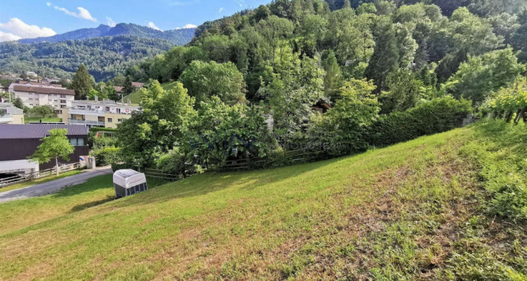 Ein Stück Historie im Rücken image 4