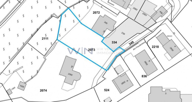 Ein Stück Historie im Rücken image 5