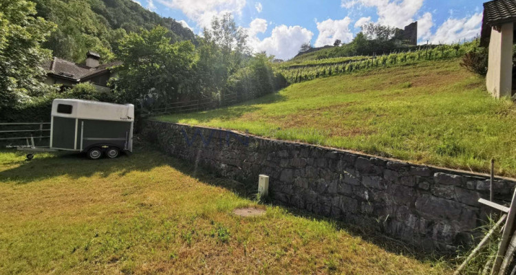 Ein Stück Historie im Rücken image 2