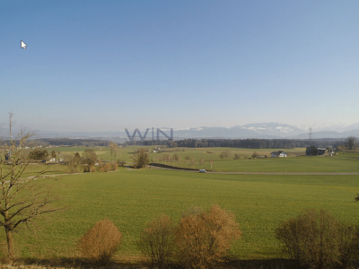 Starten auf der grünen Wiese - ohne Verpflichtungen image 4