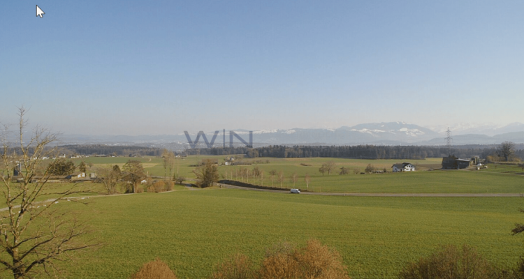 Starten auf der grünen Wiese - ohne Verpflichtungen image 4