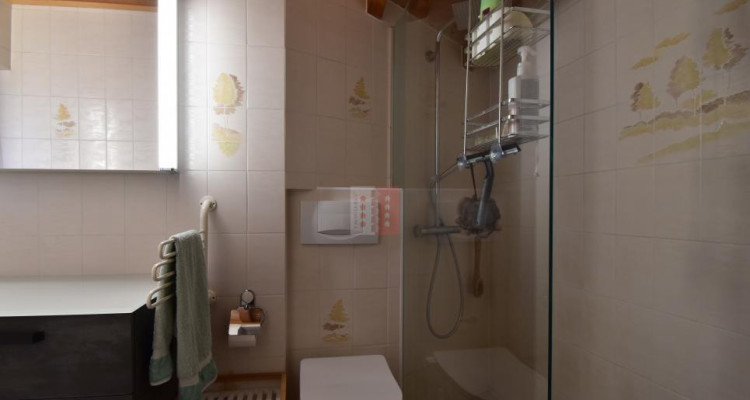 Maison familiale avec dépendance amménageable image 8