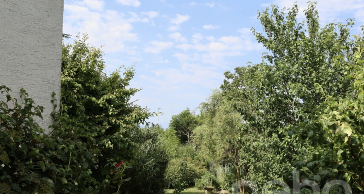 Maison rénovée avec jardin dans un emplacement d?exception image 4