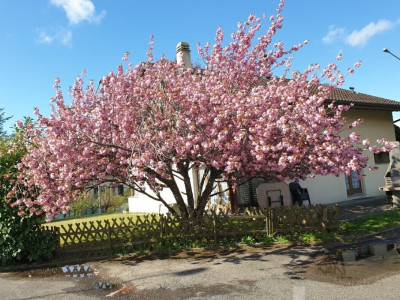 Villa familiale pleine de potentiel image 9