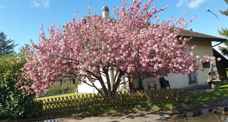 Villa familiale pleine de potentiel image 9