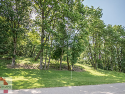 UN BIJOU A ST-LÉGIER ...  image 13