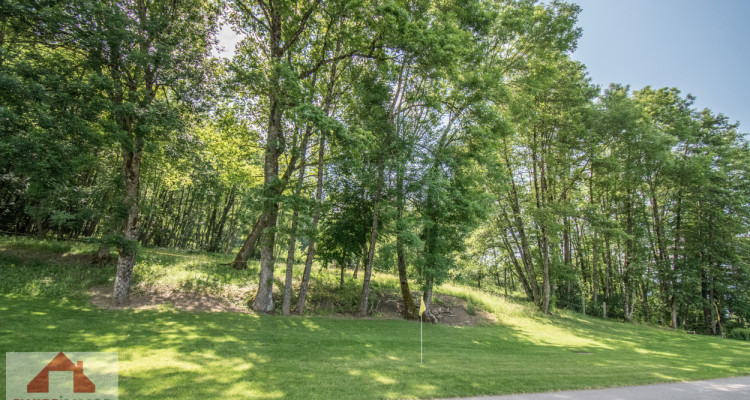 ESTATE IN ST-LÉGIER image 13