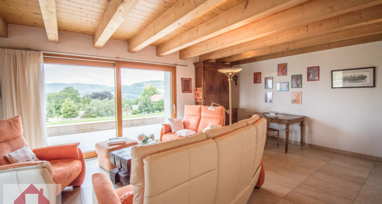 ESTATE IN ST-LÉGIER image 10