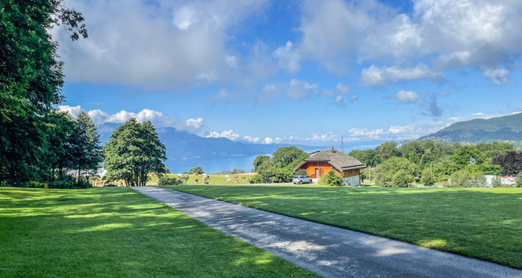 ESTATE IN ST-LÉGIER image 14
