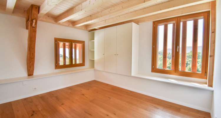 ESTATE IN ST-LÉGIER image 8