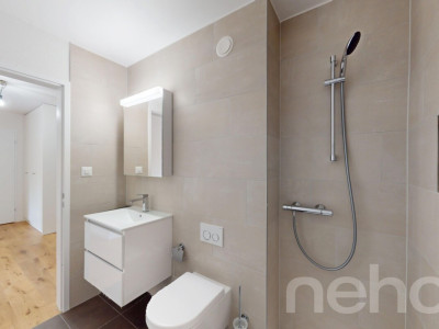 Frisch renovierte 3.5-Zimmer-Wohnung image 7