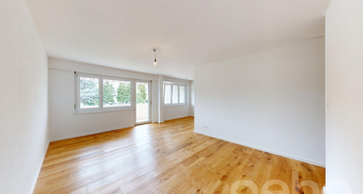 Frisch renovierte 3.5-Zimmer-Wohnung image 2