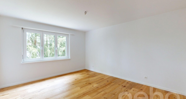 Frisch renovierte 3.5-Zimmer-Wohnung image 8