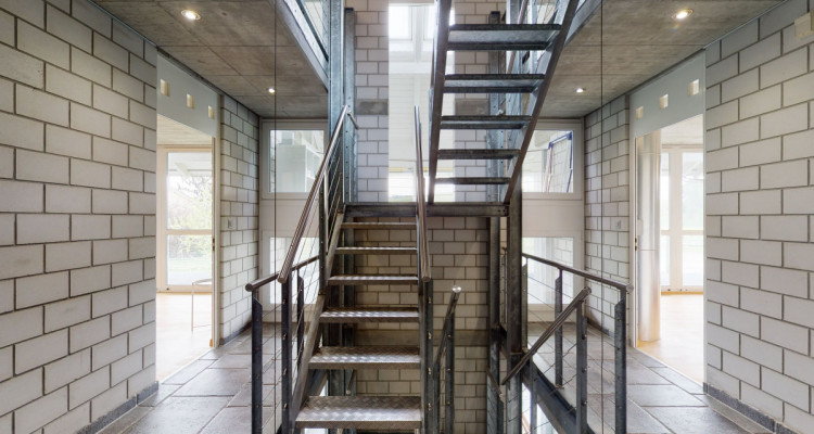 Traumhafte Liegenschaft für Pferdeliebhaber image 5