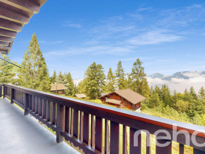 Magnifique chalet et son studio privé - Les Giettes image 2