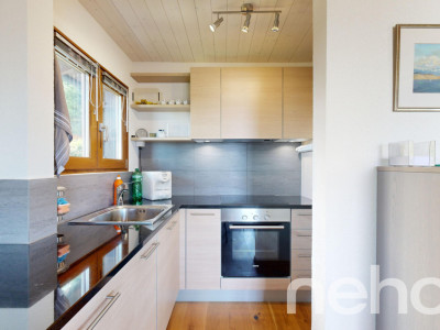 Magnifique chalet et son studio privé - Les Giettes image 5