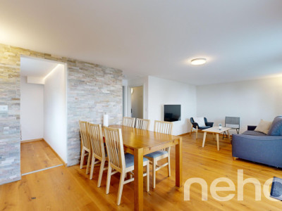 Magnifique chalet et son studio privé - Les Giettes image 11