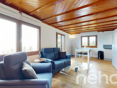 Magnifique chalet et son studio privé - Les Giettes image 7