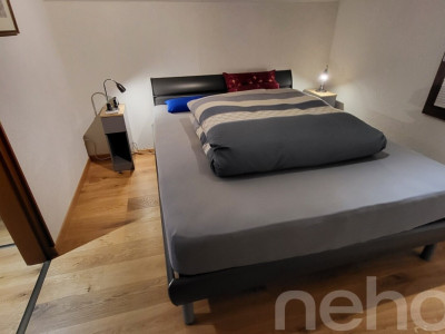 Magnifique chalet et son studio privé - Les Giettes image 8