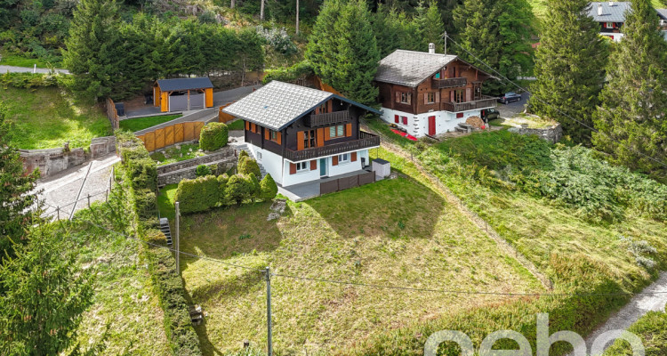 Magnifique chalet et son studio privé - Les Giettes image 3